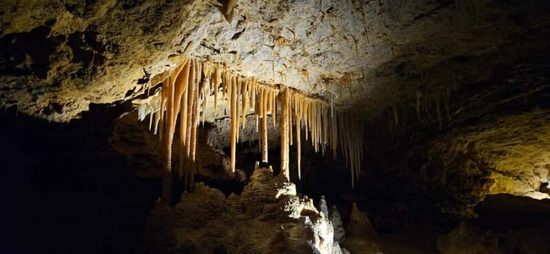 Coonawarra: Caves, Cabernet, & Kangaroos Day Tour & Lunch - Final Thoughts