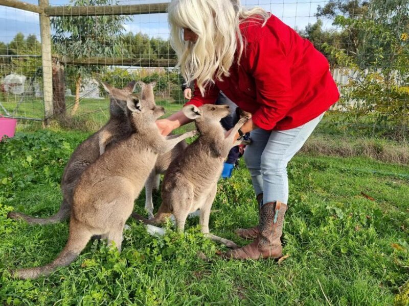 Coonawarra: Caves, Cabernet, & Kangaroos Day Tour & Lunch - FAQ