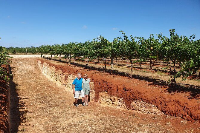 Coonawarra Half Day Wine Tour With Lunch - Who Should Book This Tour?