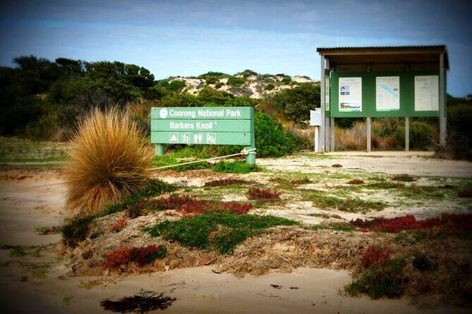 Coorong 3 & 1/2 Lunch Cruise and Tour - The Main Event: The Coorong Cruise