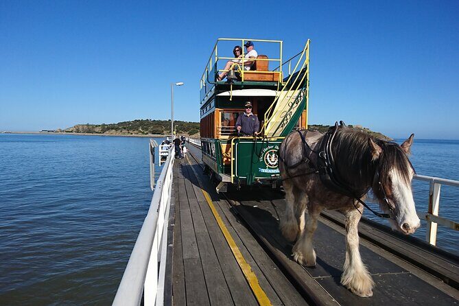 Coorong 3 & 1/2 Lunch Cruise and Tour - Returning and Reflecting