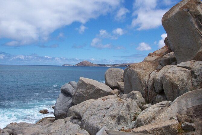 Coorong 3 & 1/2 Lunch Cruise and Tour - The Value and Who Will Love This Tour