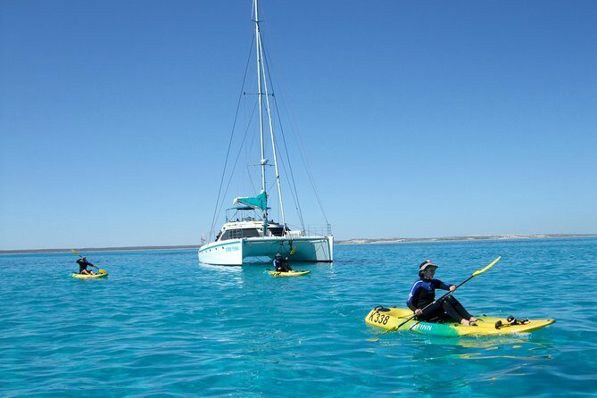 Coral Bay 2-Hour Coral Viewing and Snorkeling - FAQ