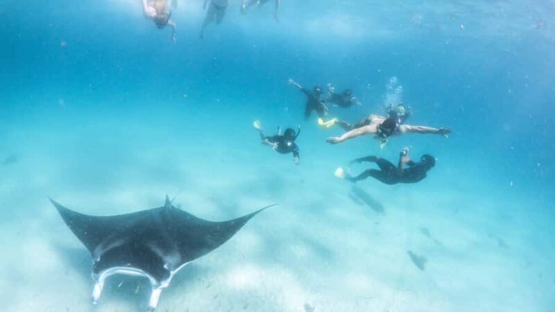 Coral Bay: Marine Eco Safari - Swim With Manta Rays - Discovering Coral Bay’s Marine Eco Safari