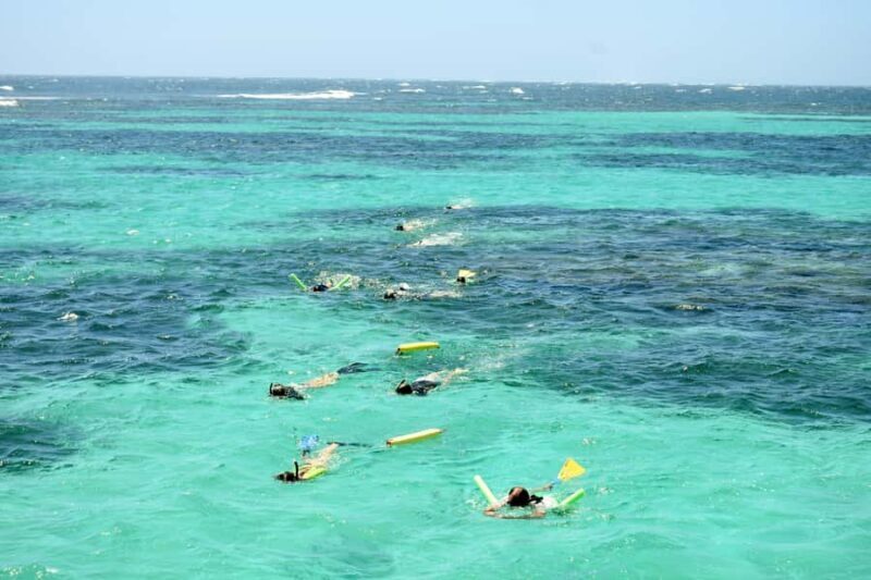 Coral Bay: Ningaloo Reef 3-Hour Turtle Ecotour - The Sum Up