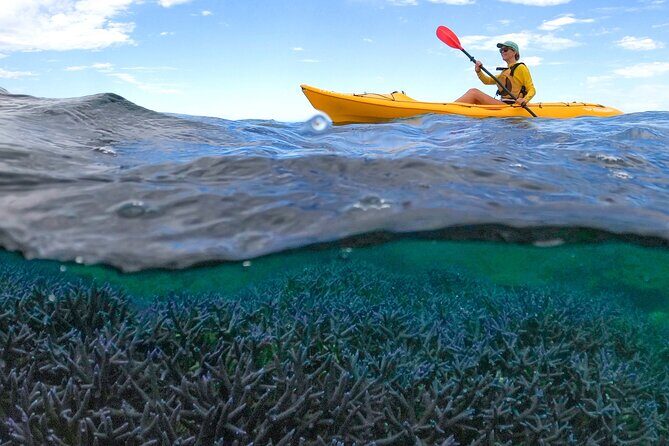 Coral By Kayak - Ningaloo Reef Half Day Kayak & Snorkel Tour - Key Points