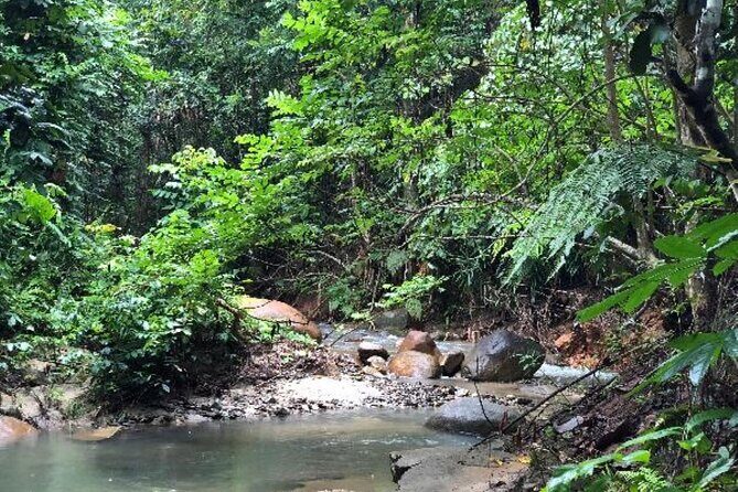 ''Coral Coast Adventure: Biausevu Waterfall & Natadola Beach !'' - Authenticity and Customer Experience