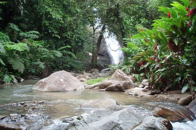 ''Coral Coast Adventure: Biausevu Waterfall & Natadola Beach !'' - FAQ