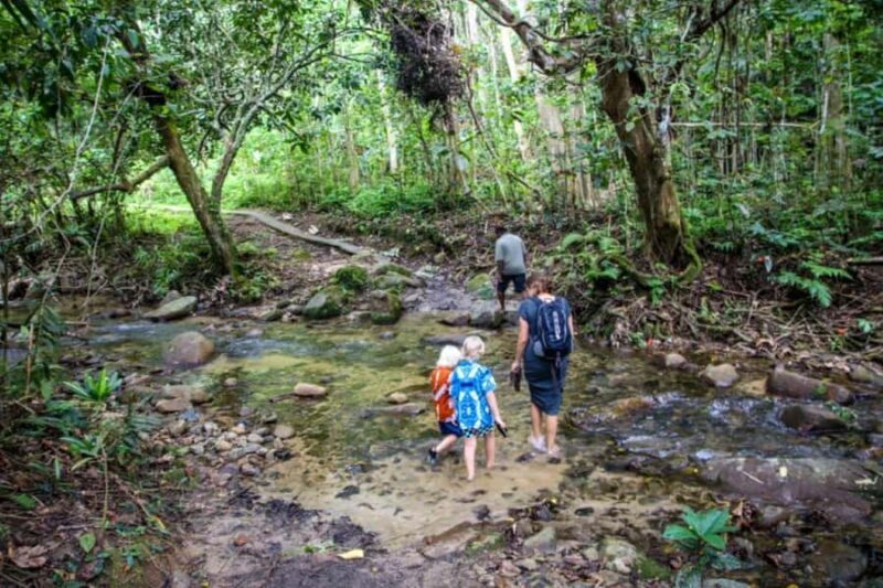 Coral Coast Adventure: Biausevu Waterfall & Natadola Beach - A Balanced Look at the Coral Coast Adventure