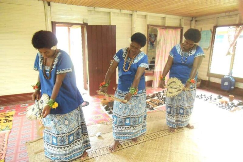 Coral Coast & Village School Tour from Nadi or Denarau - Who Will Love This Tour?