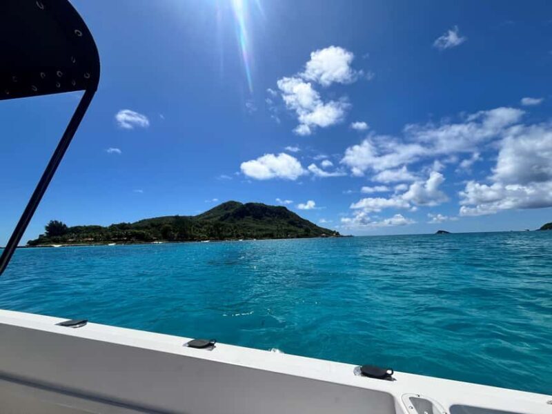 CORAL CRUISES-GUIDED BOAT TOUR; EDEN ISLAND MARINA - Key Points