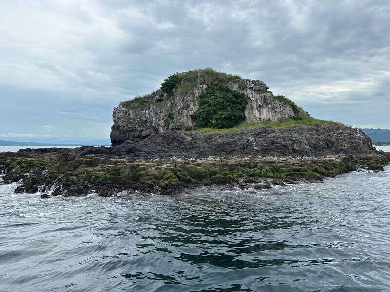 Coral island guayabitos beach and snorkeling - The Sum Up: Who Will Love This Experience?
