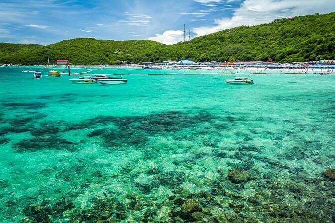 Coral Island Pattaya: Indian Lunch, Transfer, Hindi staff (India Travelers +AR) - Introduction