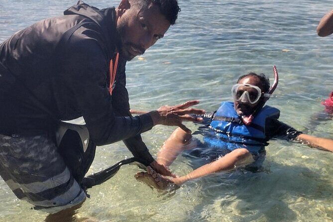 Coral Reef and Sea Turtle Snorkeling Experience - The Sum Up: Who Is This Snorkeling Experience Best For?