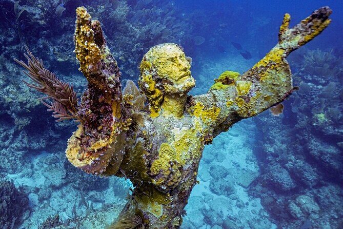 Coral Reef Half Day Snorkel Trip - Key Points