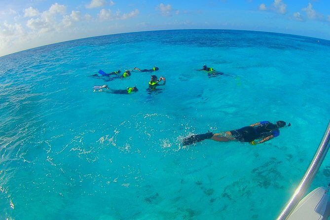 Coral Reef Private Snorkel tour out to John Pennekamp Coral Reef State Park - Discovering the Coral Reef Private Snorkel Tour in Key Largo