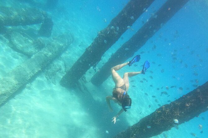 Coral Reef Snorkel Adventure with Photos and Videos - What to Expect from the Coral Reef Snorkel Adventure
