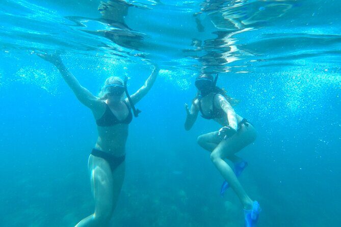 Coral Reef Snorkel Adventure with Photos and Videos - Final Thoughts