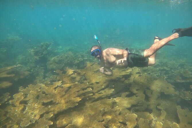 Coral Reef Snorkel Adventure with Photos and Videos - FAQ