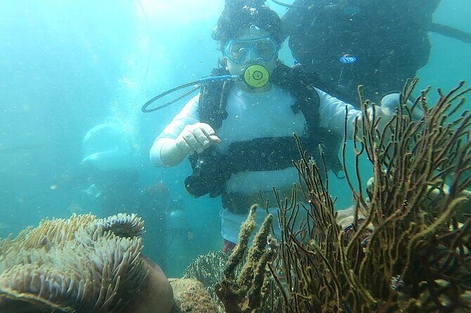 Coral Reef Snorkeling and Floating Bar Party from Nha Trang - Key Points