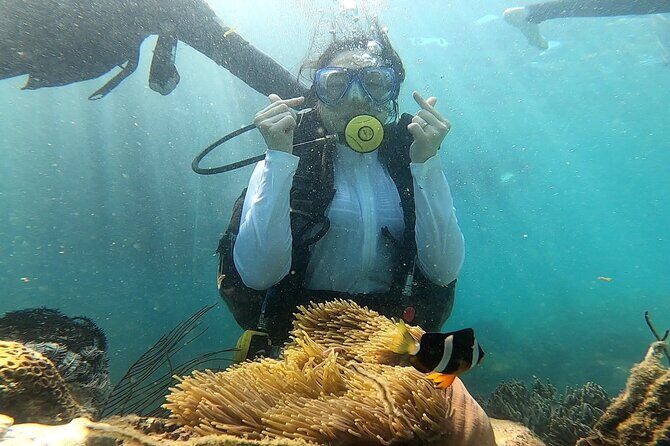 Coral Reef Snorkeling and Floating Bar Party from Nha Trang - FAQs