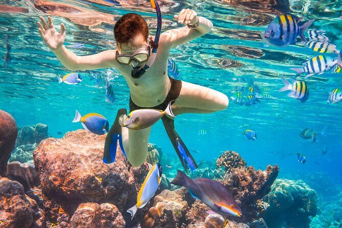 Coral Reef Snorkeling Expedition from Cancun with Beachside Lunch - The Sum Up