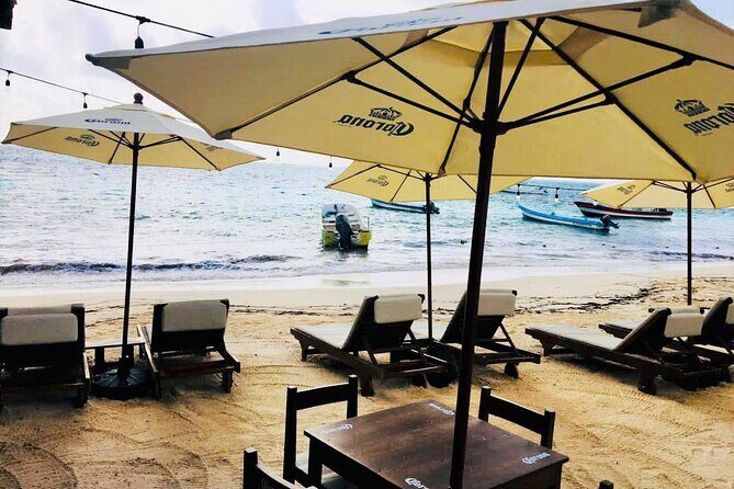 Coral Reef Snorkeling Expedition from Cancun with Beachside Lunch - FAQs