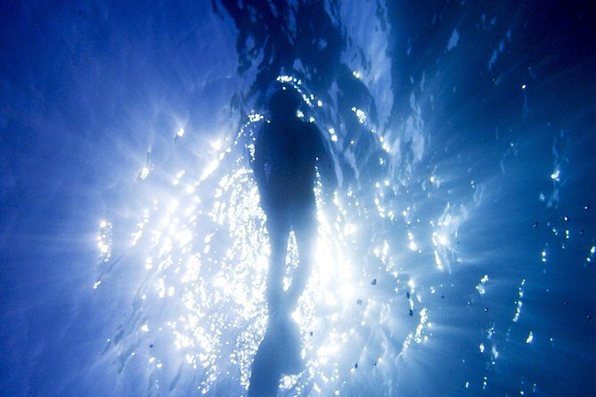Coral Sea Dreaming Overnight Dive, Snorkel and Sail - An In-Depth Look at the Coral Sea Dreaming Tour