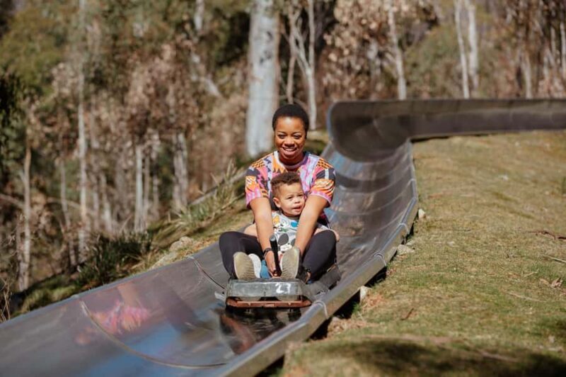 Corin Forest: Alpine Slide Ticket - Key Points