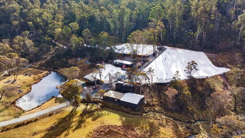 Corin Forest: Alpine Slide Ticket - What to Expect at Corin Forest: An Overview
