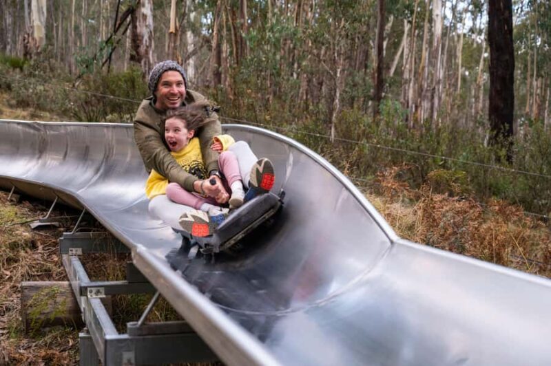 Corin Forest: Alpine Slide Ticket - Why the Experience Stands Out
