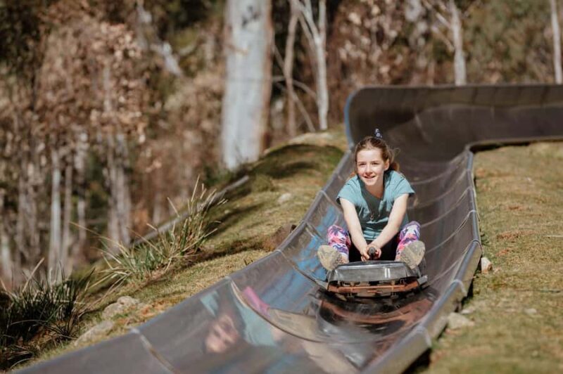 Corin Forest: Alpine Slide Ticket - FAQs
