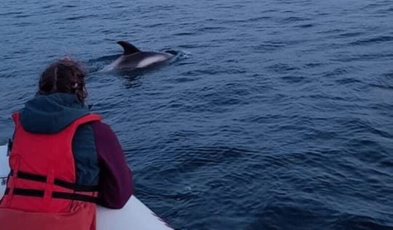 Corner Brook: Woods Island Adventure 3-Hour Zodiac Tour - Key Points