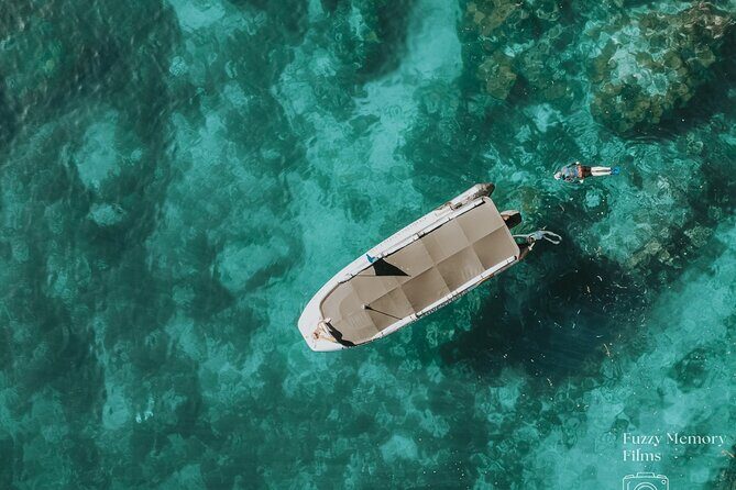 Coromandel Adventure and Wildlife Boat Tour to Aldermen Islands - A Deep Dive into the Experience