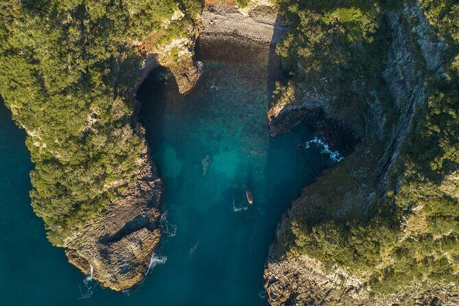 Coromandel Adventure and Wildlife Boat Tour to Aldermen Islands - FAQ