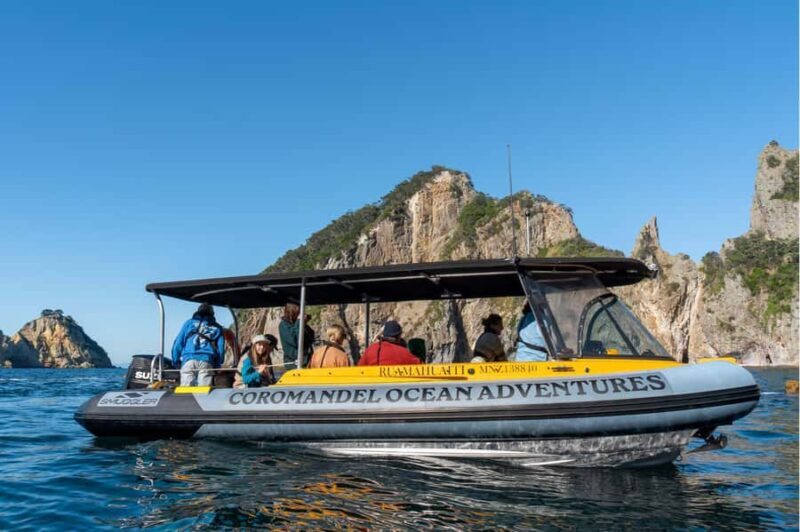 Coromandel: Aldermen Islands Marine Reserve Wildlife Cruise - Why the Guides Make a Difference