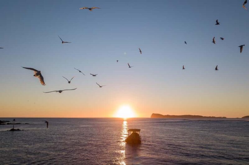 Coromandel: Aldermen Islands Marine Reserve Wildlife Cruise - The Practical Side: What To Bring & Considerations