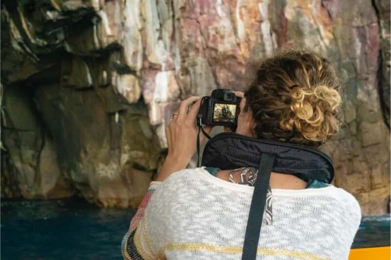 Coromandel: Aldermen Islands Marine Reserve Wildlife Cruise - Pricing & Value