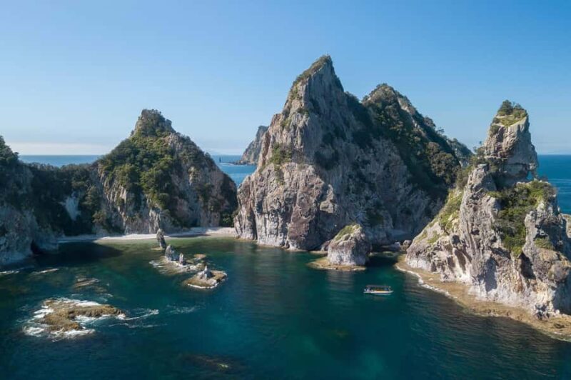 Coromandel: Aldermen Islands Marine Reserve Wildlife Cruise - Final Thoughts