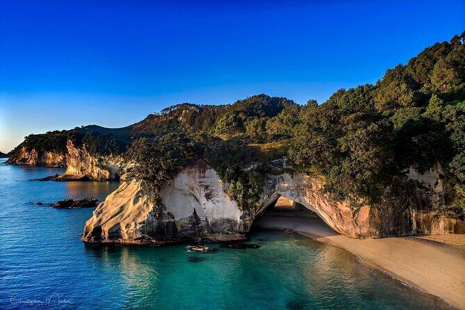 Coromandel Cathedral Cove and Hot Water Beach - A Closer Look at the Tour Itinerary