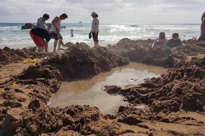 Coromandel Cathedral Cove and Hot Water Beach - Final thoughts: Who will love this tour?