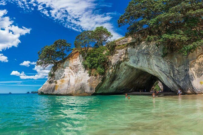 Coromandel Cathedral Cove and Hot Water Beach Tour from Auckland - Final Thoughts