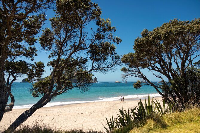 Coromandel Cathedral Cove Walk & Hot Water Beach Day Tour - Detailed Review of the Coromandel Cathedral Cove Walk & Hot Water Beach Tour