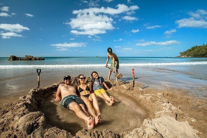 Coromandel Day Tour From Auckland - Key Points