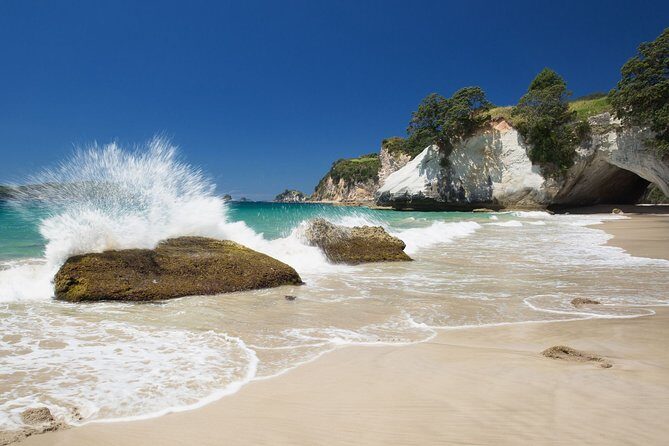 Coromandel Peninsula Discovery - Private Tour From Auckland - An In-Depth Look at the Tour Experience