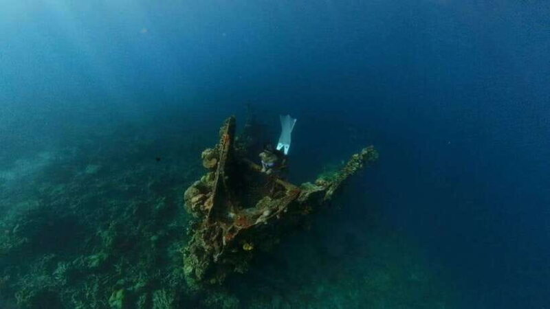 Coron: Barracuda Lake and Reef Garden Tour with Lunch - An In-Depth Look at the Tour Experience