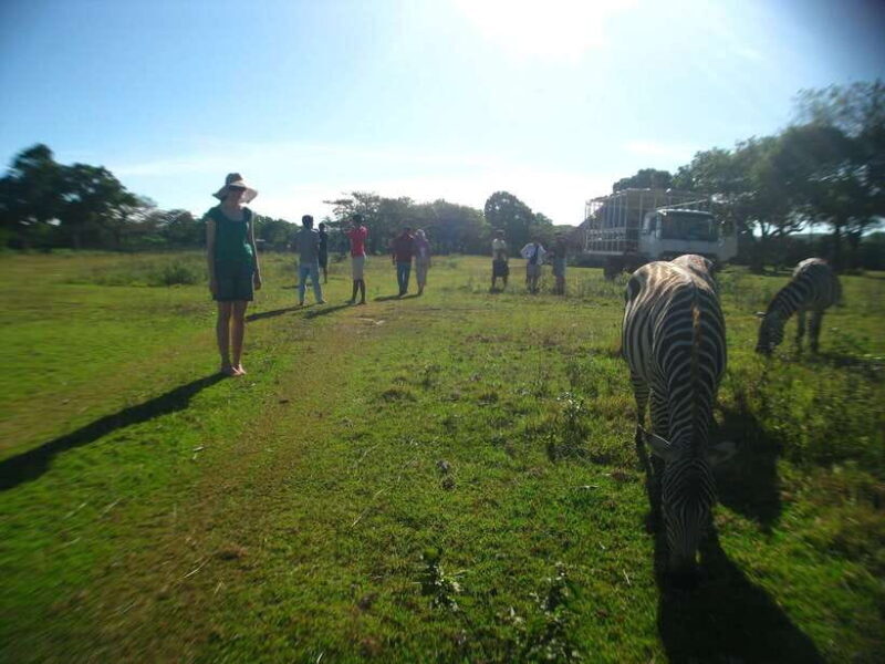 Coron: Calauit Safari Adventure - FAQ