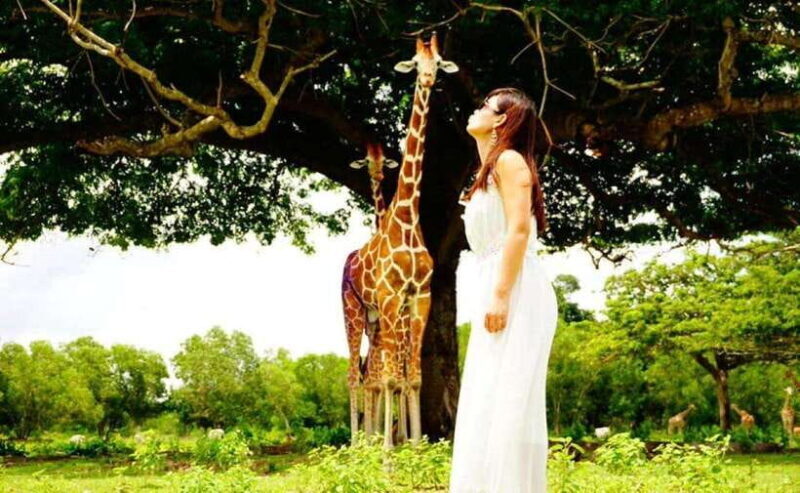 Coron: Calauit Safari Black Island Lunch & Transfer included - Key Points