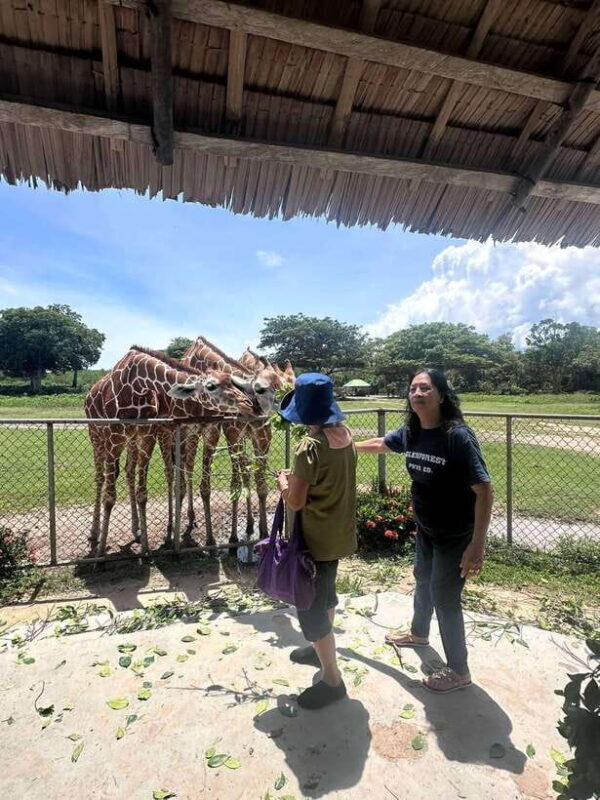 Coron: Calauit Safari Black Island Lunch & Transfer included - Final Thoughts