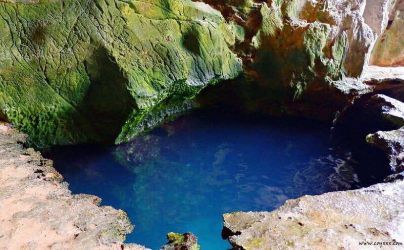 Coron Calauit Safari Tour (Private Tour) - Practical Details: Transportation, Timing, and Comfort